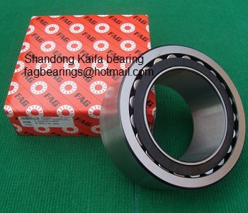 FAG bearings 800730