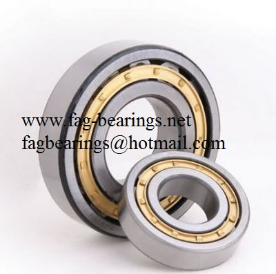 SKF 10769-RP