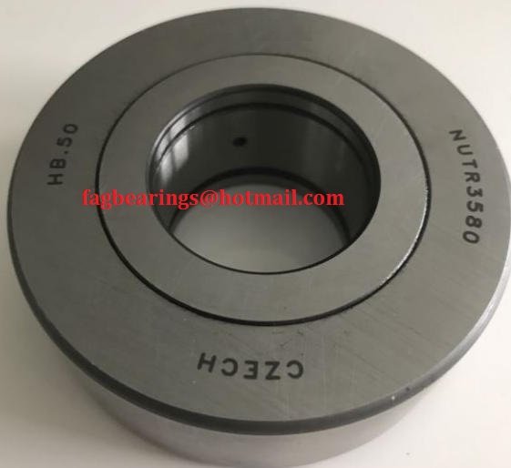 NUTR3580
